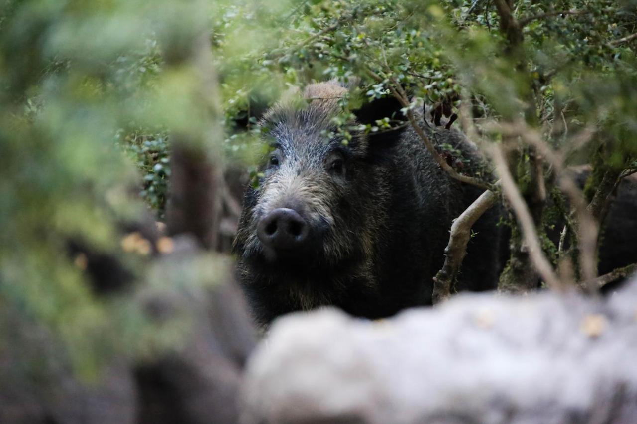 Le Refuge Des Marmottes * Saint-Laurent-du-Jura