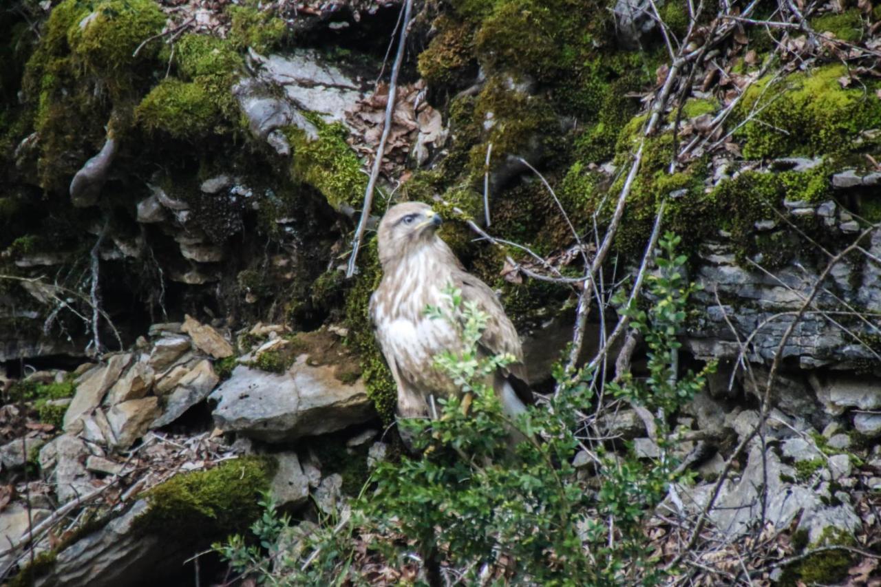 Chalet Le Refuge Des Marmottes