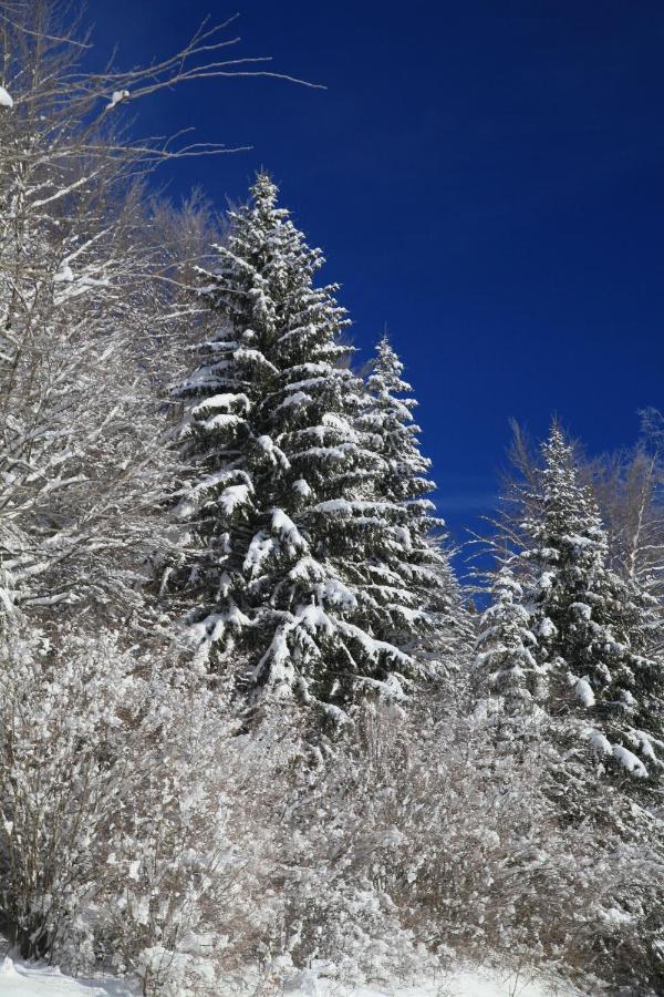 Le Refuge Des Marmottes *